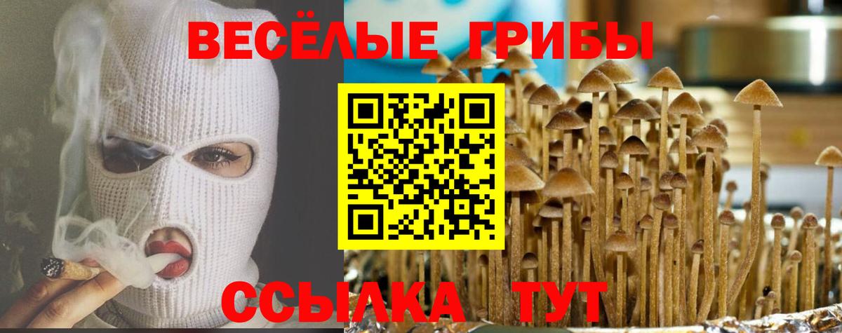 Галлюциногенные грибы MAGIC MUSHROOMS  Вход с VPN  Добрянка  Псилоцибиновые грибы Cubensis 
